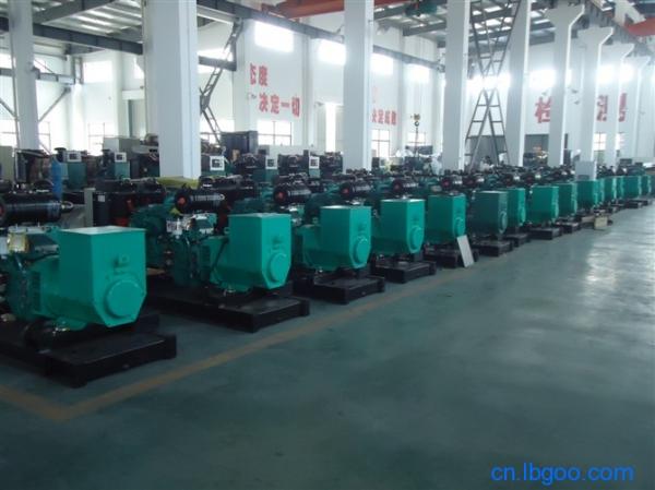 ����˹�����