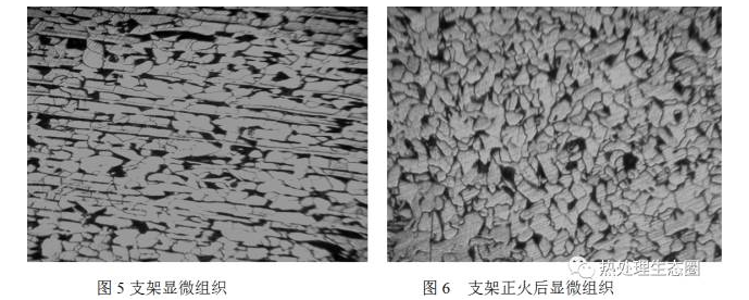 ���ͷ����֧�ż�������΢��֯ͼ5��ͼ6